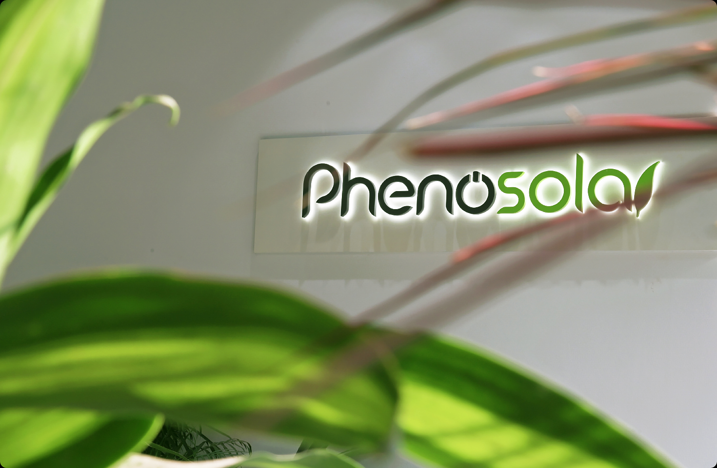 现象光伏的“四重奏”：认定、标准、碳中和、奖项，奏响绿色未来！